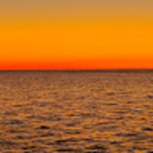 Meet your Posher, Delores